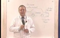 Ehliyet Sınavı Motor Eğitim Dersi 2