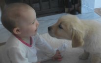 Yavru köpek ve bebeğin ilk tanışması