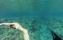 GoPro: Whale Fantasia