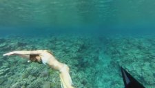 GoPro: Whale Fantasia