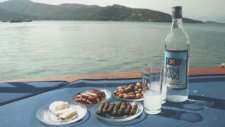 Müzeyyen Senar - Elveda Meyhaneci