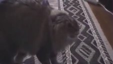 Tek Bildiği Hayır Demek