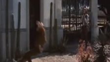 Bring Me the Head of Alfredo Garcia (1974) Fragman