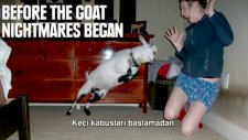 Bir Saniye Önce Çekilmiş Komik Kareler