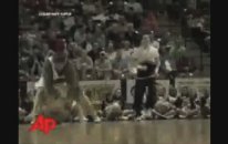 The Funniest Fights, Fails And Celebrations From The Weird World Of Sporting Mascots