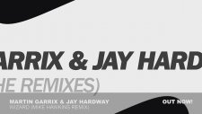 Martin Garrix & Jay Hardway - Wizard (Mike Hawkins Remix)