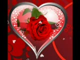 İsmail Yk Ebru Yasar Sefa
