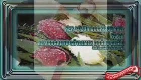 Celaleddin Ada - Hastayım - Tevhid Tabibi Celaleddin Ada - Hastayım - Tevhid Tabibi
