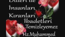Kar Çiçeğim