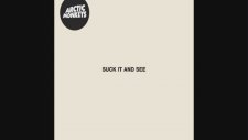 Arctic Monkeys - Library Pictures