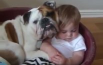 En Güzel Bebek Ve Köpek Videoları