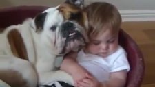 En Güzel Bebek Ve Köpek Videoları