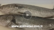 Eşkina Taşı Nasıl Çıkarılır