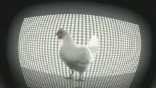 Horoz Sesi Bıx Bıx Bak Remix