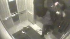 Asansöre Sıkışan Köpek Son Anda Kurtuldu
