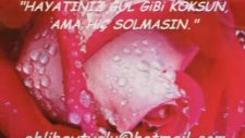 Abdurrahman Önül - Dardayım Ey Resul