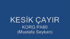 Mustafa Seykan - Kesik Çayır