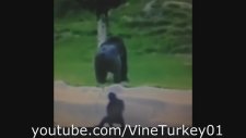 Tayfun Yılmaz Tüm Vine Videoları