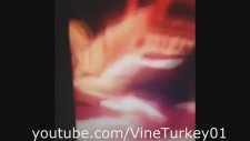 Tayfun Yılmaz Tüm Vineleri
