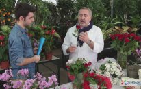 Vazoda Çiçek Bakımı Nasıl Yapılır?