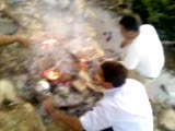 Piknik