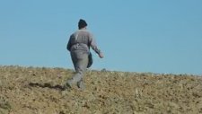 Yulaf Ekimi Bük Karşı Köyü - Taşköprü (Erkan)