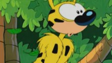 Marsupilami Yolu- (Uzun Kuyruk)
