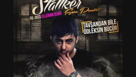 Stallker - Sarı Panter Stallker - Sarı Panter