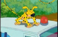 Palu Palu Marsupilami - (Uzun Kuyruk)
