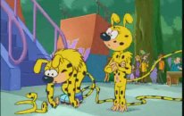Paten Dansı - Marsupilami (Uzun Kuyruk)