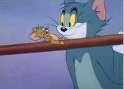 Tom and Jerry Video
