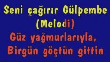 Barış Manço Gül Pembe (karaoke Version)