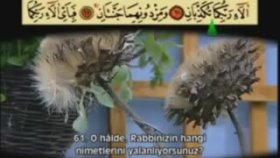Ahmet El Acemi Rahman Suresi