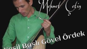 Mehmet Çetin - Yesil Basli Gövel Ördek Mehmet Çetin - Yesil Basli Gövel Ördek