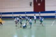 Hentbol