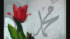 Ender Tekin - Affeyle İlahi