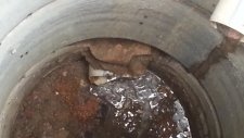 Pimaş Hattı Ve Logar Tıkanıklığı Açma Yıkama Temizleme