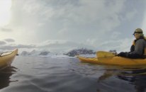 Gopro: Leopard Seal Encounter