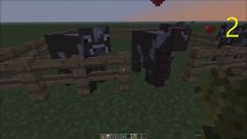 MineCraft' ta Bilinmeyen 20 Şey