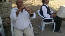 Davul Zurna - Taşan Kardeşler-