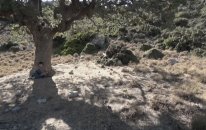 After Effects Super Powers Speedy Running effect - Hızlı Koşma Efekti