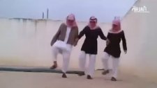 Arabistan'da Penguen Dansı Çılgınlığı