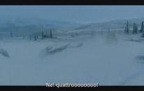 Audi Quattro