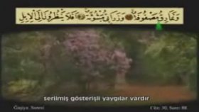Ahmet El Acemi Gaşiye Suresi