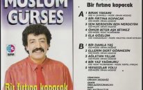 Müslüm Gürses - Vefasızlar Yolu