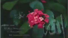 En Sevgiliye - Yalvarırım Rabbim Sen Acı Halime..(İlahi)