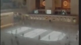 Karınca Mucizesi