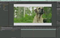 After Effects Quick Tip: Cinema Crop