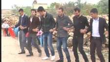 Düğün Halayı