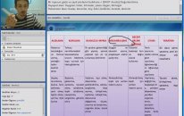 Program Geliştirme , Öğrenim Teknikleri 6